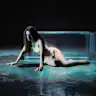 Alexi Shell
