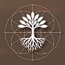Symbio Experience