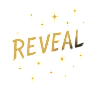 REVEAL PARIS