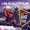 Festival Eucalyptus