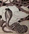 Serpent A Plume
