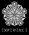 Experience-collective 