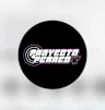 PROYECTO PERREO