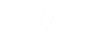 Leone Discoteca