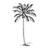 Palmtree Candle Studio