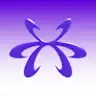 PURPLE UNIVERSE