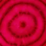 BEATROOT