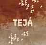 TEJÁ HOUSE