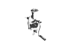 TREMBASE
