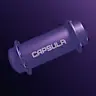 CAPSULA FLN