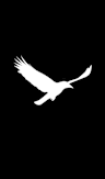 White Raven Project