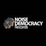 Noise Democracy