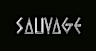 SAUVAGE.PT