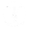 octo Poulpe Fiction
