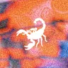Animals Industry