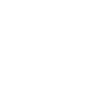 Voice