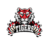BDE TIGERS