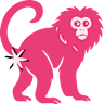 pink monkey club