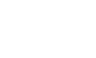 District Eagle