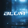 BLUM AGENCY