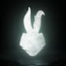 Conejo Loco World