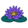 Collectif Bloom
