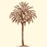 Cuba Caribe