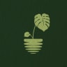 Plant Bass