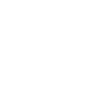 RESET 