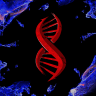 LE PROJET SYMBIOSE