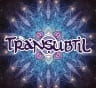 TRANSUBTIL