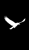 White Raven Project