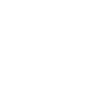 Rock en Seine