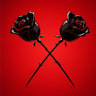 rosenoirelectro