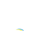 Subtronic